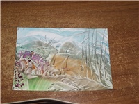 458ce2a4-Picture 009.jpg